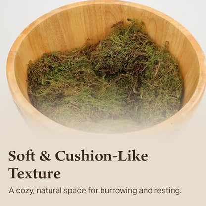 Deco Moss for Terrarium Habitats, Medium 1-Pack