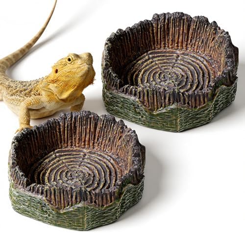 Small Reptile Food Dish, 2 PCS Reptile Water Dish Food Bowl Reptiles Feeding Foods Resin Terrarium Bowl for Bearded Dragon Gecko Frog Snake Chameleon Tortoise