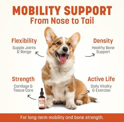 Daily Bone Nourish High Potency Daily Bone & Joint Supplement for Dogs & Cats - Extra Strength Herbal Mobility & Bone Strength Support - Highly Concentrated Turmeric & Moringa, 60ml