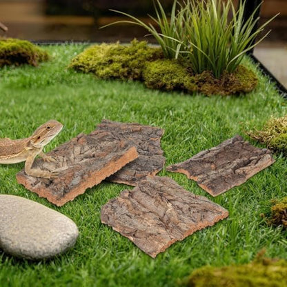 DOITOOL 8 Pcs Reptile Bark Hides, Tree Cork Bark Flats Terrarium Decoration