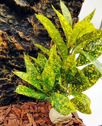 Reptile Plants Terrarium Decor,Reptile Tank Decorations