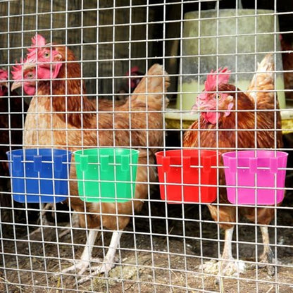 Ctosree 100 Pcs Cage Cups 8 oz Chicken Feeder, Blue, Red, Rose Red, Green