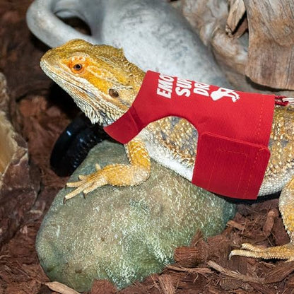 Bearded Dragon Harness and Leash Set, Escape Proof Reptile Vest