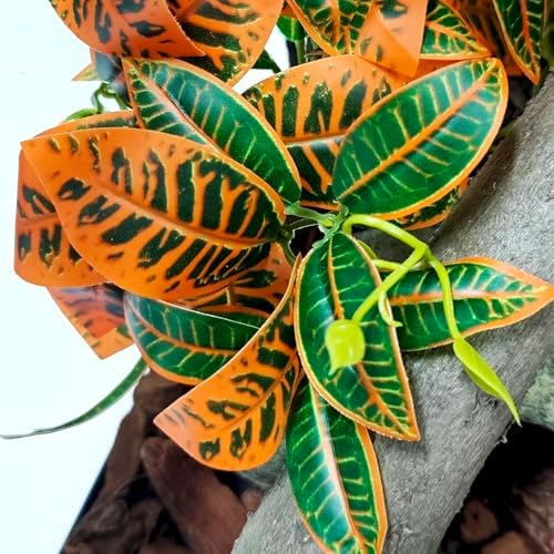 Woyrise 2 Pack Reptile Plants, Terrarium Hanging Plant Vines, Artificial Leaves with Suction Cup, Bearded Dragon Tank Accessories for Gecko Lizard Snake Frog Tortoise Decorations - Codiaeum Variegatum