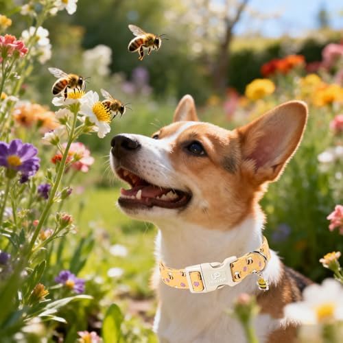 Bee Cotton Dog Collar, Summer Spring Bee Floral Pattern,Adjustable Soft Pet Collar with Cute Charm/Durable Buckle, Lightweight Comfortable for Small Medium Large Dogs