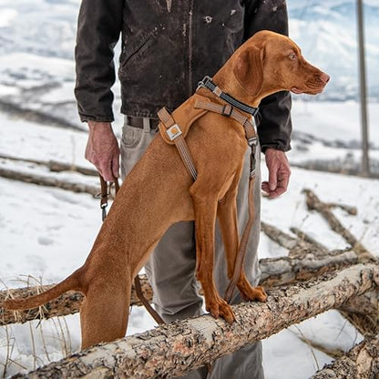 Carhartt Nylon Duck No Pull Dog Harness Harbor Teal M