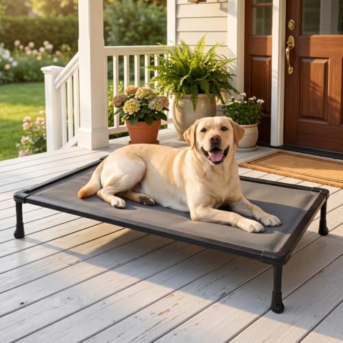 Veehoo Chew Proof Elevated Dog Bed, Padded Indestructible Raised Dog Cot