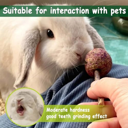 kathson 30PCS Rabbit Timothy Hay Treats Sticks,Interactive Bunny Lollipop Chew Sticks,Natural Guinea Pigs Chewing Treats Molar Teeth Toys for Small Animals,Chinchilla,Hamster,Gerbil
