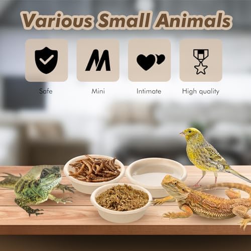 Maxcheck 1000 Pcs Paper Gecko Feeding Cups 1 oz Food and Water Bowls Small Reptile Feeding Ledge Replacement Cup Dish Bowl Ledge Accessories for Gecko Lizards Spiders Small Pet
