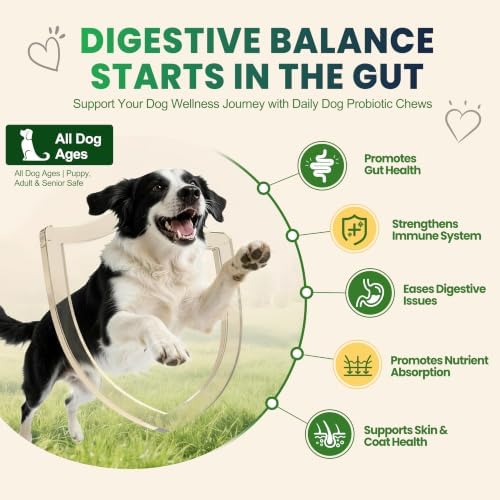 Probiotics for Dogs, Dog Probiotics Chews for Digestive Health &Gut Health