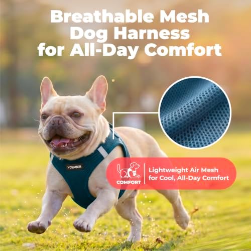 Voyager Step-in Air Dog Vest Harness - Blue, XX-Small