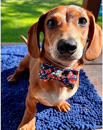 Lionheart glory Premium Floral Dog Collars, Bowtie Dog Collar, Adjustable Heavy Duty Dog Collar with Bow for Medium Dogs