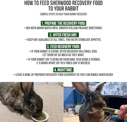 Sherwood Pet Health Rabbit Emergency kit and Bulk Recovery Food (200 Grams)
