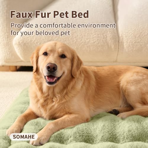 SOMAHE Plush Dog Bed Mat, Machine Washable, Large 35x27 Fruit Green