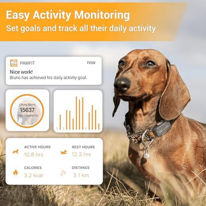 Pawfit Lite 4G GPS Dog Tracker, Live Tracking, Ultra-Light, Charcoal Grey