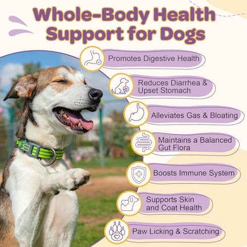 ZEBORA Probiotic for Dogs 6B CFUs Gut Health & Skin,120 Duck Flavor Chews