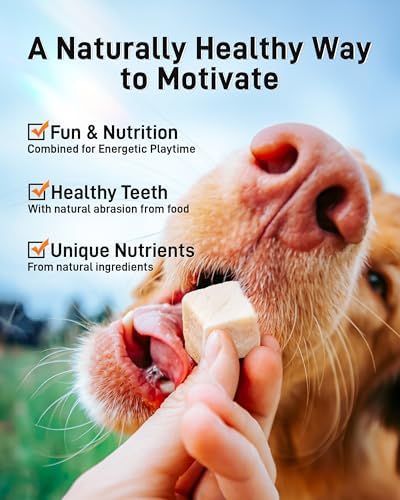 Freeze Dried Chicken Cats & Dogs Treats,3.52oz