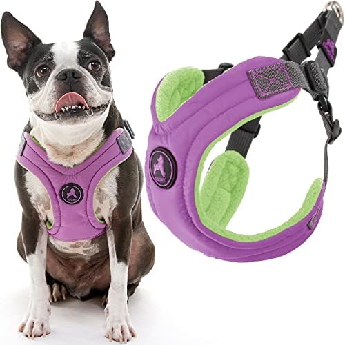 Gooby Escape Free Memory Foam Dog Harness, Step-in, Purple, Small