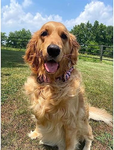 Lionheart glory American Flag Dog Collar, 4 of July Dog Bow Collar Heavy Duty Adjustable Patriotic Dog Collar with Bowtie for Small Dogs Pet Gift