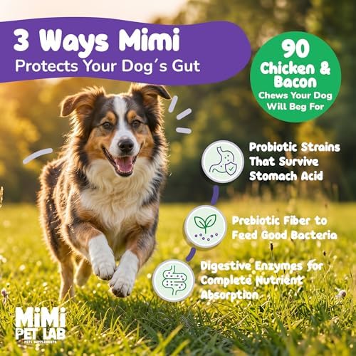 Advanced Dog Probiotics & Prebiotics - 90 Soft Chews - Vet-Formulated for Perfect Poops, Stool Consistency & Immune Support - 5 Probiotic Strains + Digestive Enzymes - Chicken & Bacon