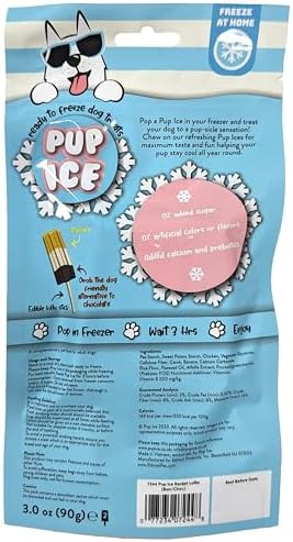 SPOT Pup Ice Dog Treats – Freeze-at-Home Edible Chews for Medium Breed Dogs & Puppies, Banana & Carob Flavor (No Chocolate), 2ct Rocket Lollies with Real Chicken