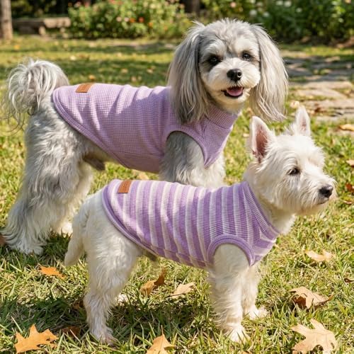 3Pack Dog Shirts Lightweight Waffle Dog Shirt for Small Dogs Sleeveless Dog Shirt for Small Medium Boy Girl Dogs Cozy & Breathable Pet Vest