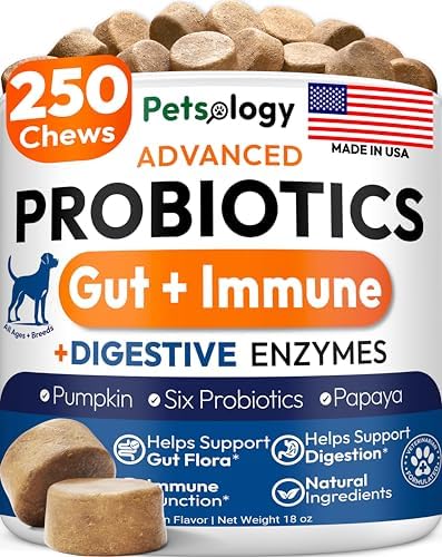 Probiotics for Dogs - 250 Dog Probiotics Chews - Digestive Enzymes Support