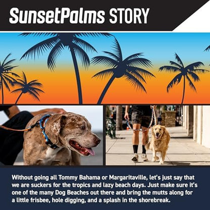 Wolfgang Heavy Duty Martingale Dog Collar with Quick Release Nylon Buckle for Walking & Training, SunsetPalms Print, Medium