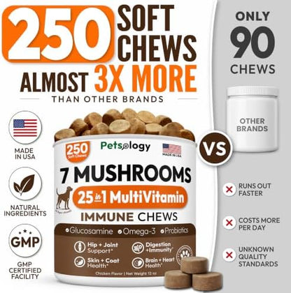 Turkey Tail Mushroom for Dogs - 250 Chews - Lion's Mane, Shiitake & Reishi