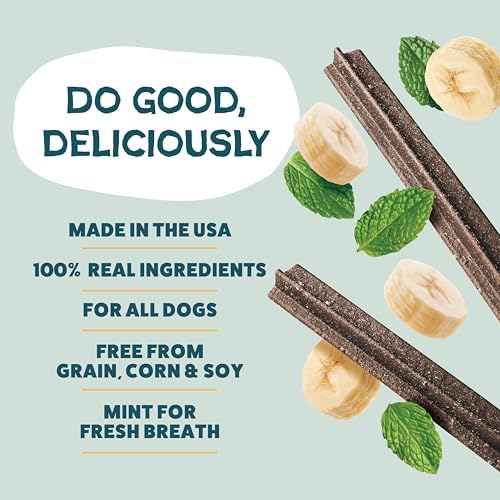 Shameless Pets Dental Treats for Dogs, Banana Bone-Anza - Healthy Dental Sticks with Hip & Joint Support for Teeth Cleaning & Fresh Breath - Chews Free from Grain, Corn & Soy