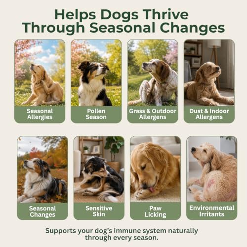 Dog Allergy Chews, Immune Support & Itch Relief for Dogs, 90 Chews