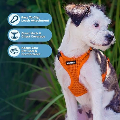 Voyager Step-in Lock Dog Harness - Orange, X-Large