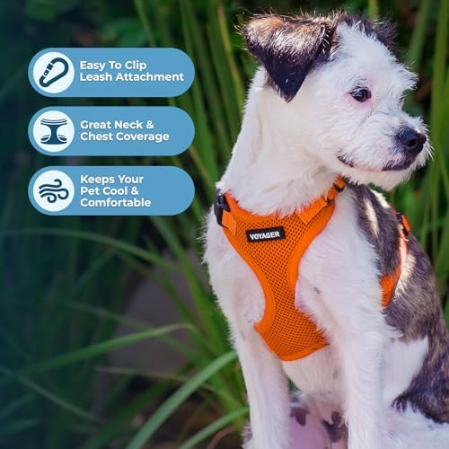 Voyager Step-in Lock Dog Harness - Orange, Small