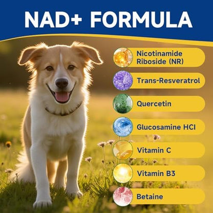 NAD+ Longevity for Senior Dogs, Cellular, Cognitive Health, 140 Chews
