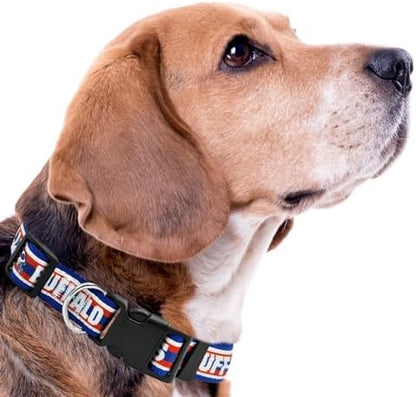 Pets First NFL Buffalo Bills Licensed PET COLLAR, Large - Heavy-Duty, Strong, and Durable Dog Collar. Available in 31 Football Teams and 4 Sizes