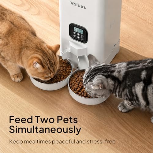 VOLUAS Automatic Cat Feeder for Two Cats with Dual Stainless Bowls, 6L