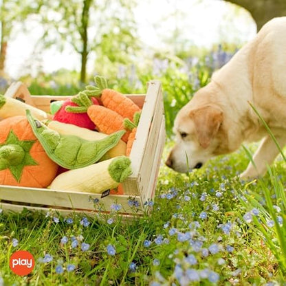 P.L.A.Y. Cute Plush Dog Toys - Fruit & Vegetable Themed Durable Squeaker Chew Toy, Great for Puppies & Small, Medium, Large Dogs - Machine Washable, Recycled Materials (Garden Fresh Zucchini, X-Small)
