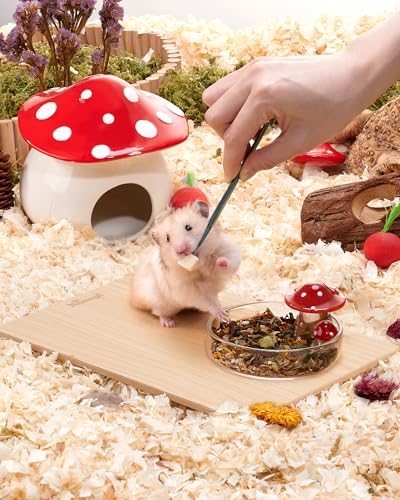 Niteangel Hamster Feeding & Food Bowls: Mushroom Glass & Chew-Resistant