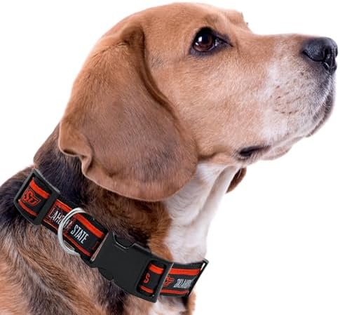 Pets First Collegiate PET Collar OLD VERSION Oklahoma State Cowboys Dog Collar, Size Small. Best Sports Team Collar for Dogs & Cats. A Shiny & Colorful Dog & Cat Collar Licensed by The NCAA