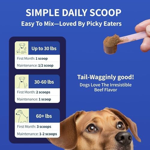 Fifth & Fido Zoomy Hip & Joint Supplement for Dogs, Powder