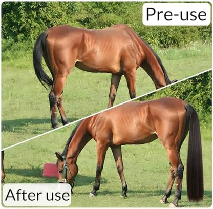 33.5 IN Long 1 LB Horse Tail Extension with Braided Horsehair Loop & Blunt Cut Bottom (Dark Chestnut)