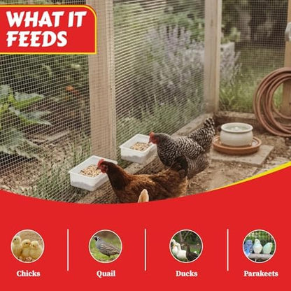 My Favorite Chicken Cage Cup 27oz – Hanging Chicken Feeder & Hanging Chicken Waterer for Chick, Quail, Duck, Parakeet – Small Poultry Waterer & Feed Dish – Cage & Coop Accessories