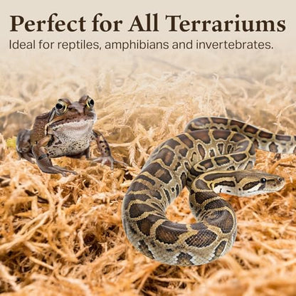 Sphagnum Moss for Terrarium Habitats, Small 1-Pack