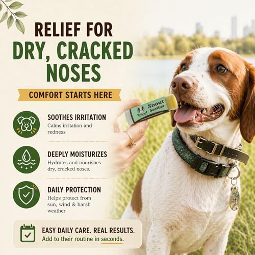 Natural Dog Company Snout Soother Dog Nose Balm – Moisturizer for Dry Crusty Noses, Summer Care for Outdoor Dogs, Hot Weather, Beach Days & Walks with Coconut Oil & Shea Butter, 2 oz Tin (Pack of 2)