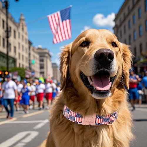 4th of July Dog Collar - US Flag Patriotic Dog Collars for Small Dogs, Adjustable Independence Day Stars & Stripes American Flag Collar S