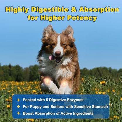Glucosamine for Dogs, Joint Supplement, Freeze Dried, 120 Chews