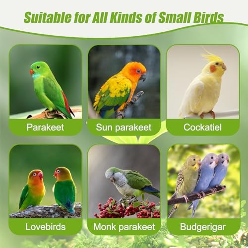 Automatic Bird Cage Water Dispenser, 4.73 oz Parakeet Water Feeder