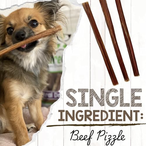 Nature Gnaws Small Bully Sticks 5-6" Rawhide Free Dog Chews, 5 Count