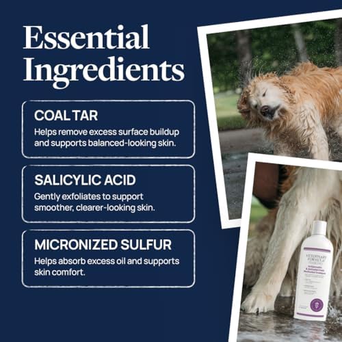 Veterinary Formula Clinical Care Antiparasitic Shampoo, 16 oz, 2-Pack