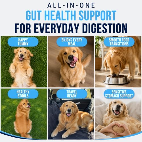 Probiotics for Dogs - Dog Probiotics with Digestive Enzymes, Soft Chews
